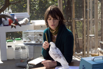 Imagen de La educación de las hadas - 7