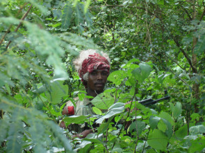 Imagen de Situación crítica: Rescate en la selva - 4