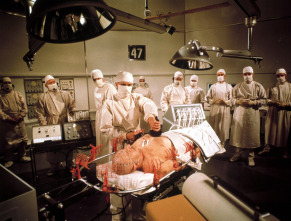 Imagen de Viaje alucinante - 6