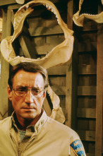 Imagen de Tiburón - 7