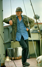 Imagen de Tiburón - 9