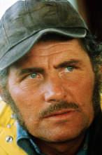 Imagen de Tiburón - 10