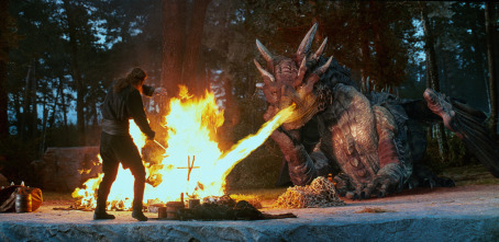 Imagen de Dragonheart (Corazón de dragón) - 8