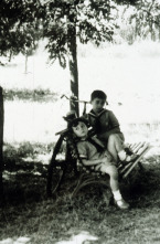 Imagen de El desencanto - 5