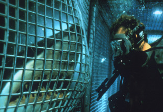Imagen de Deep Blue Sea - 8