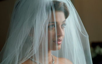 Imagen de Bodas y prejuicios - 12