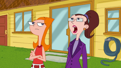 Imagen de Phineas y Ferb (T1) - 14