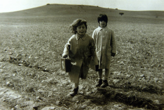 Imagen de El espíritu de la colmena - 6