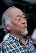 Imagen de El nuevo Karate Kid - 7