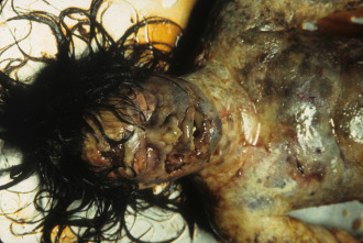 Imagen de Los sin nombre - 16