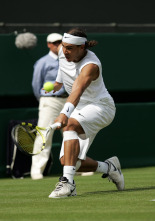 Wimbledon (2008)