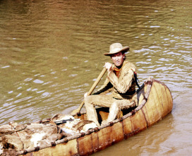 Imagen de La conquista del Oeste - 15