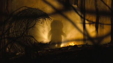 Imagen de Donde viven los monstruos - 12