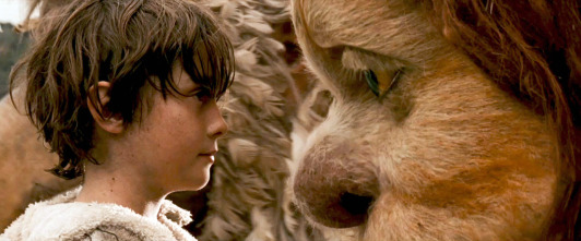 Imagen de Donde viven los monstruos - 15