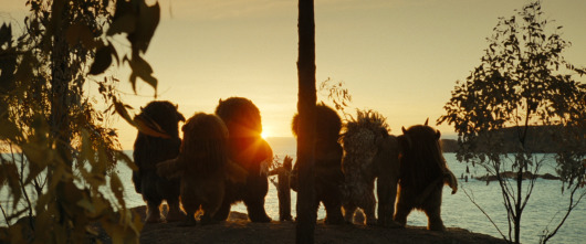 Imagen de Donde viven los monstruos - 16