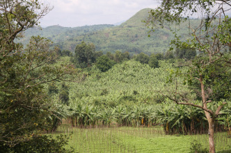 Imagen de Vida animal  - 3