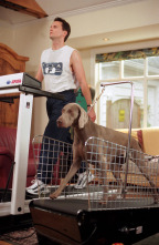 Imagen de Very Important perros - 4