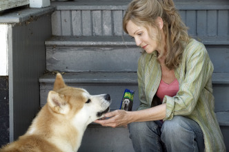 Imagen de Siempre a tu lado (Hachiko) - 7
