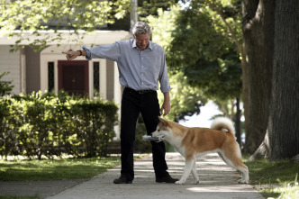 Imagen de Siempre a tu lado (Hachiko) - 9