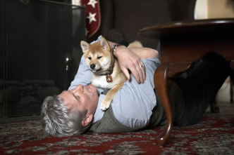 Imagen de Siempre a tu lado (Hachiko) - 12