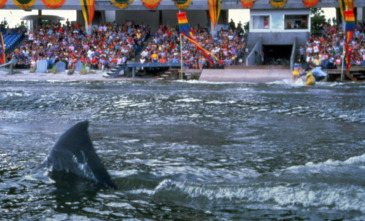 Imagen de Jaws 3 (El gran tiburón) - 12