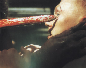 Imagen de Dog Soldiers - 13