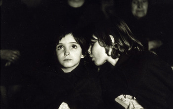 Imagen de El espíritu de la colmena - 3