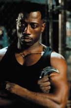 Blade