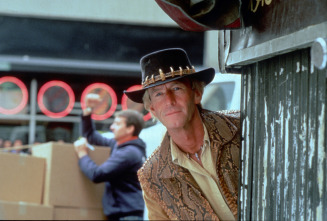 Imagen de Cocodrilo Dundee II - 4