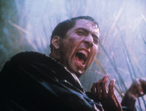 Imagen de Birdy - 11