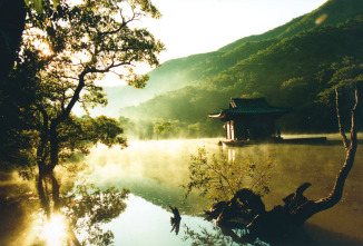 Imagen de Primavera, verano, otoño, invierno... y primavera - 4