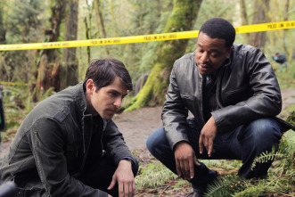 Imagen de Grimm (T1) - 7