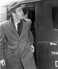 Imagen de Falso culpable - 5