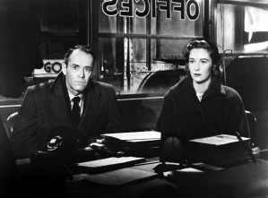 Imagen de Falso culpable - 8