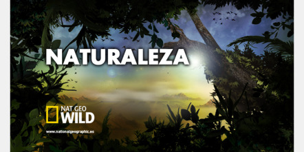 Imagen de Vida animal  - 1