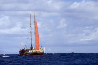 Imagen de El continente perdido del Pacífico - 4