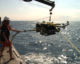 Imagen de El ataque secreto de Hitler a los Estados Unidos - 2