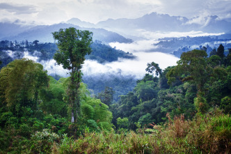 Imagen de América salvaje  - 7