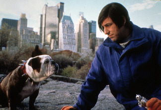 Imagen de Little Nicky - 8