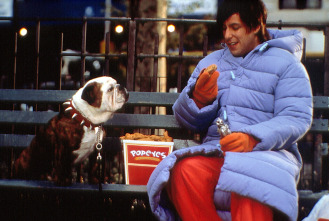 Imagen de Little Nicky - 10