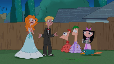 Imagen de Phineas y Ferb (T2) - 14