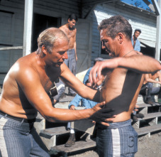 Imagen de La leyenda del indomable - 13