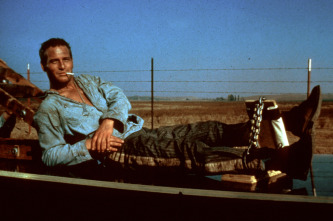 Imagen de La leyenda del indomable - 2