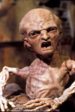 Pesadilla en Elm Street 5