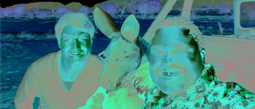 Imagen de Canguro Jack, trinca y brinca - 6
