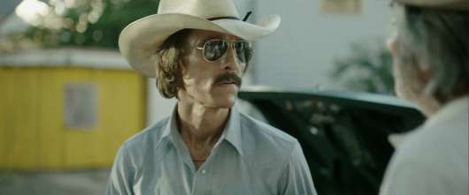 Imagen de Dallas Buyers Club - 9