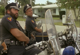 Dos superpolicías