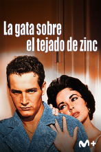 Imagen de La gata sobre el tejado de zinc - 3