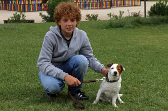 Pancho, el perro millonario