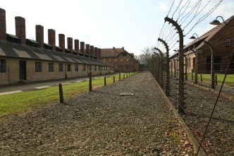 Imagen de Ana Frank: La historia jamás contada - 8